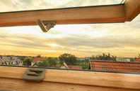 rated Pilling roof window companies